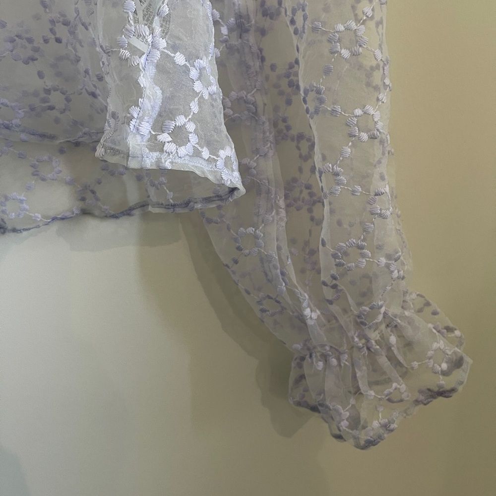 Mesh Blouse - Picture 3 of 4